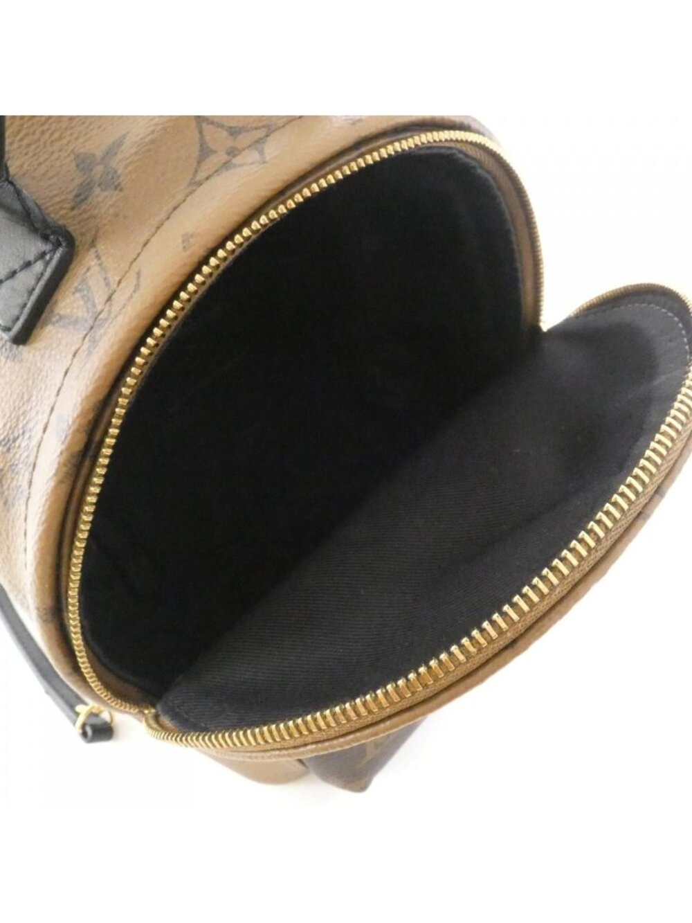 Louis Vuitton Monogram Reverse Palm Springs Backpack Mini - Picture 10 of 10